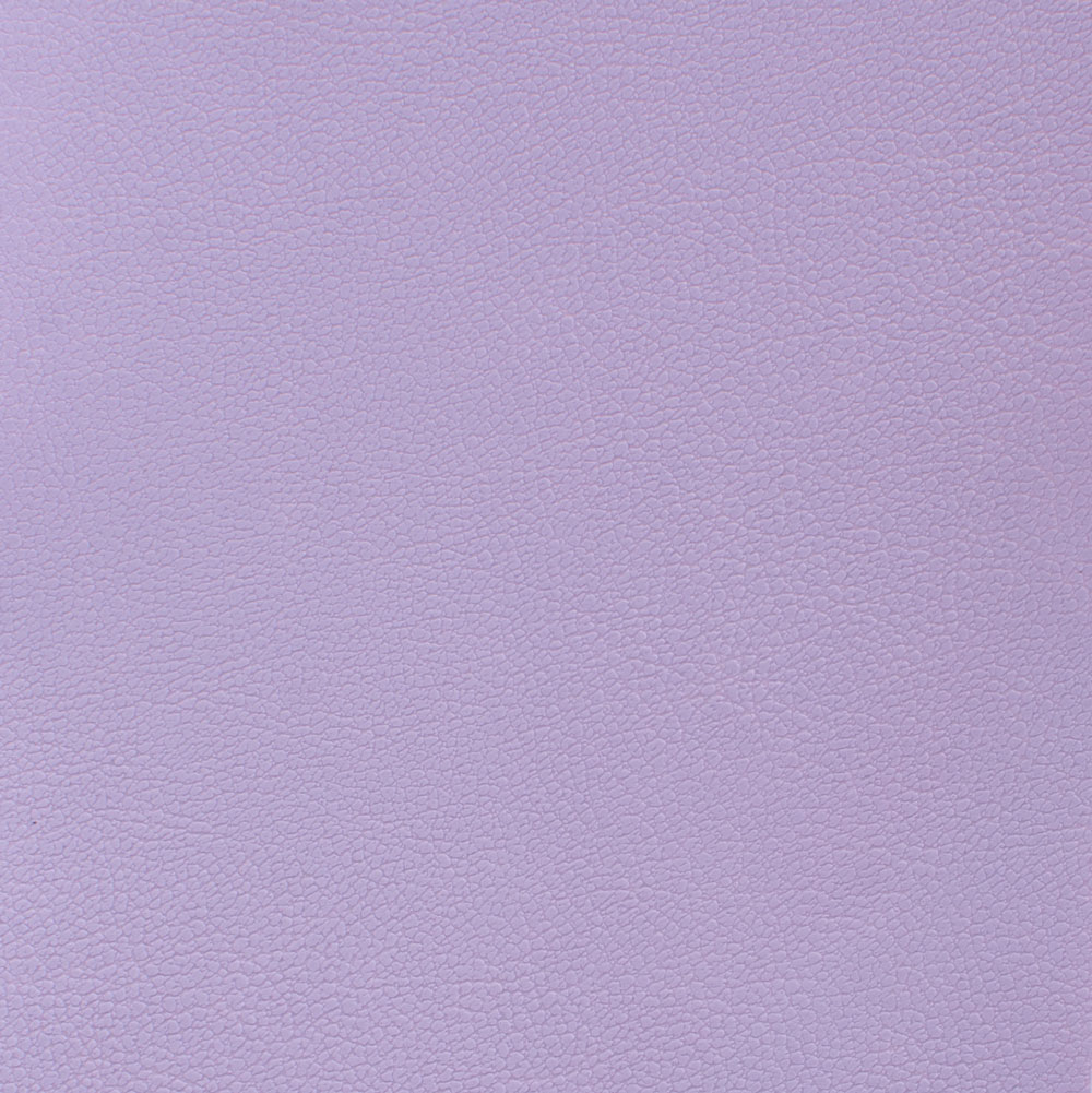 Дамаска 010809